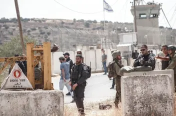 ارشيفية
