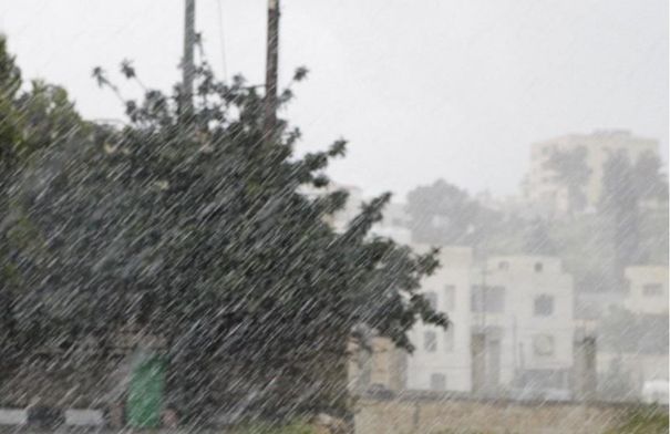 صورة الخبر