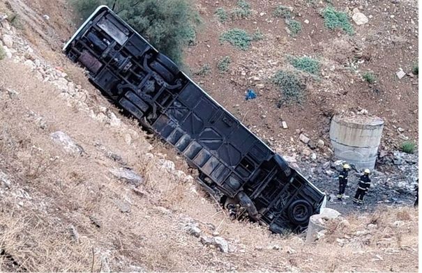 صورة الخبر