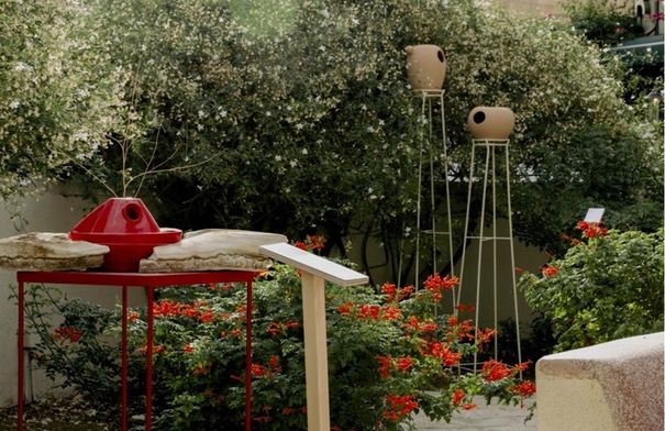 صورة الخبر