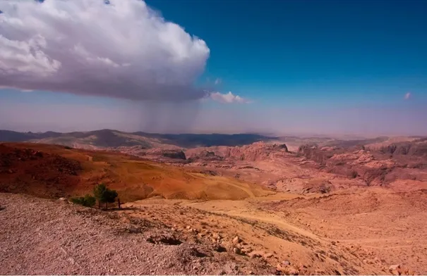 صورة الخبر