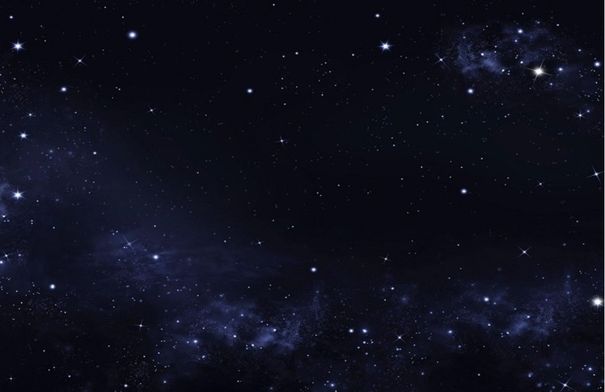 صورة الخبر