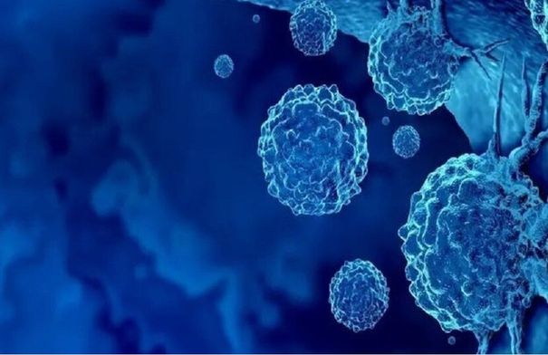 علماء يكتشفون آلية طبيعية لإيقاف الالتهاب في الجسم - الوكيل الإخباري