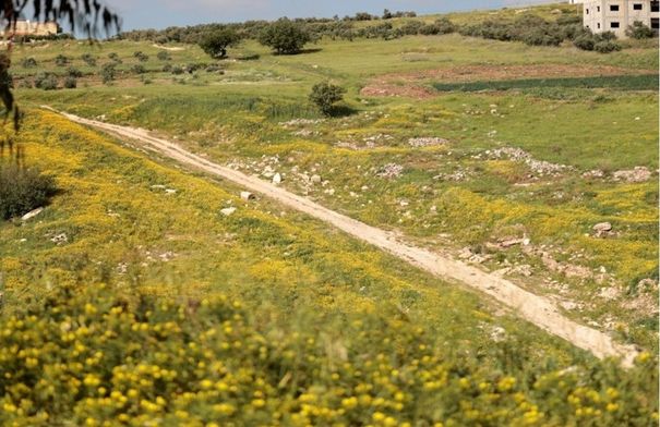 عاجل تفاصيل حالة الطقس في الاردن السبت 