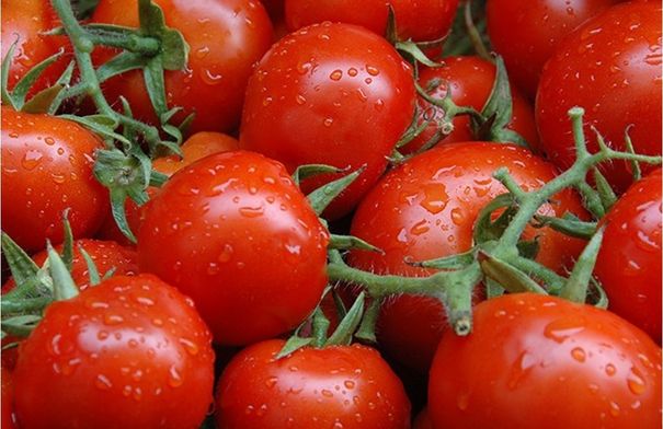 عاجل ســوق الخضــار: الصقيع رفع أسعار البندورة وتوقعات بانخفاضها اعتبارا من اليوم 