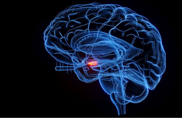 أعراض مبكرة غير نمطية لتطور السرطان 