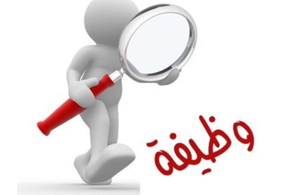 عاجل وظــائف حكومية شاغرة- تفاصيل 