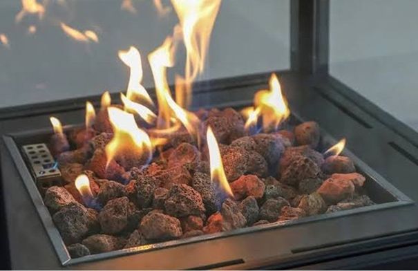 صورة الخبر