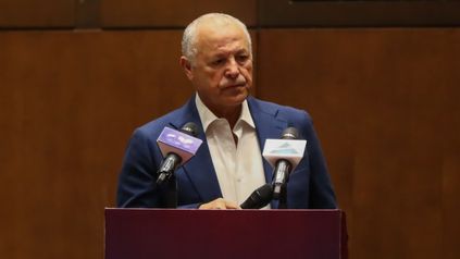 المهندس هاني أبوريدة