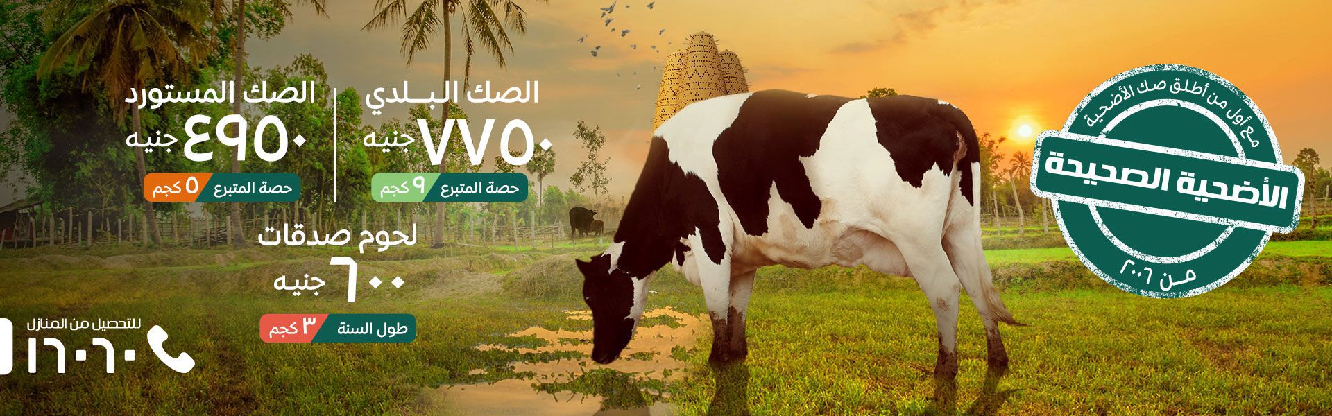 صك الأضحـية