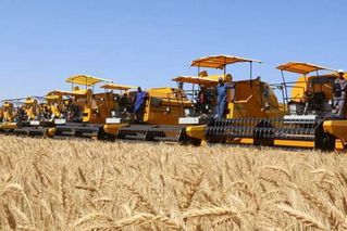 62-002134-algeria-wheat-huge-bid-arbitrage-3