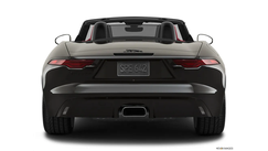 P300 R Dynamic Convertible