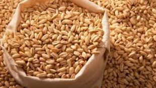 Price Increase for Barley for Livestock Farmers (Excluding Sheep) and Importing Companies

