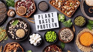 Study: Increasing Plant-Based Protein Intake May Prolong Lifespan
