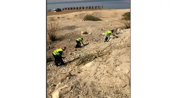 Screenshot_27-11-2025_142852_www.bing.com