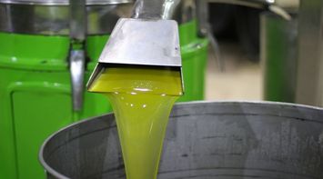 Ministry of Agriculture Opens Olive Oil Import Applications Due to Drop in Local Production