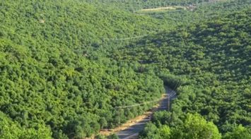 Organic Farming in Ajloun as a Means to Achieve Food Security and Improve Farmers’ Income