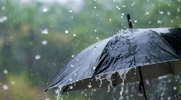 Rain to Return on Monday and Tuesday