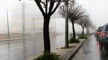 Relatively Cold Weather on Sunday, Rain Expected on Monday