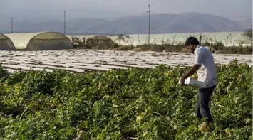 Agricultural Producer Prices Rise by 6.9%