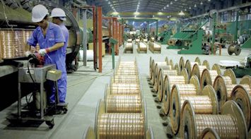 Producer Price Index Drops by 0.49% During First Five Months of 2025