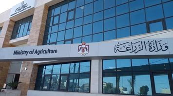Ministry of Agriculture: Collection of Local Wheat and Barley Crops Begins