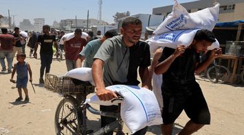 World Food Programme Calls for More Safe Access Routes in Gaza