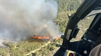 Royal Jordanian Air Force Continues Firefighting Operations in Syria