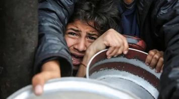WFP Calls for Urgent Action on Famine Outbreak in Gaza