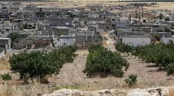 Le Monde: A Difficult Reconciliation Between Alawites and Sunnis in Syria’s Pistachio Fields