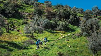 Tourism Trails in Ajloun Attract Adventure and Nature Enthusiasts