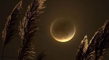 Rare Total Lunar Eclipse to Light Up Jordan’s Sky Next Sunday