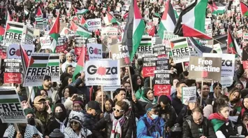 Global Universities Boycott Israeli Academia over Gaza War