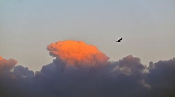 Russia Launches Record Number of Drones Toward Ukraine