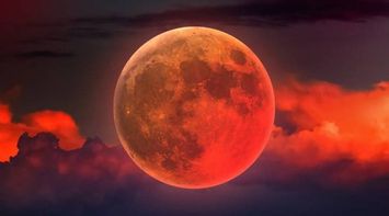 Ministry of Awqaf Calls for Lunar Eclipse Prayer This Evening