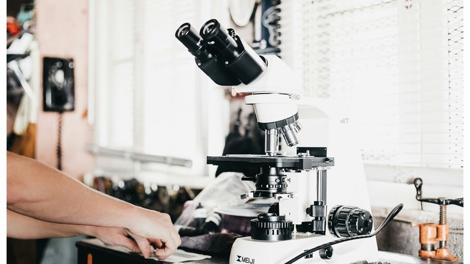 Testagen Peptide: A Hypothetical Catalyst in Scientific Exploration
