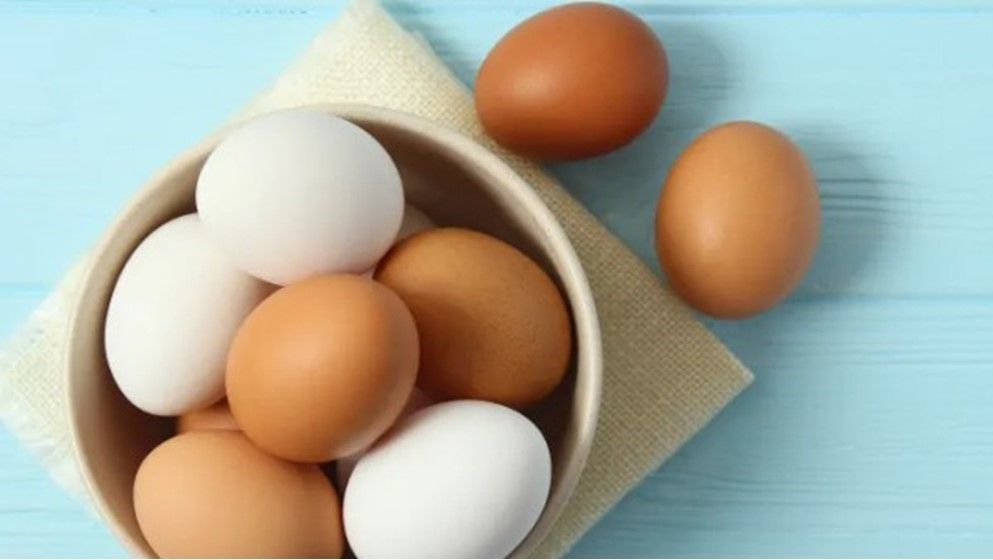 Brown Eggs vs. White Eggs: What’s the Difference? - Jordan News | Latest ...