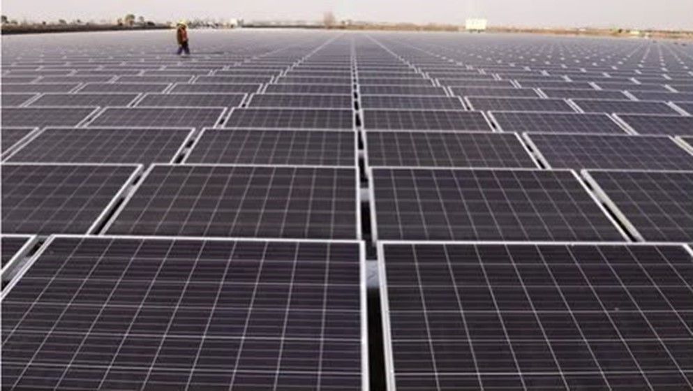 From Solar Panels to AI: Energy Sector Shapes Future Jobs
