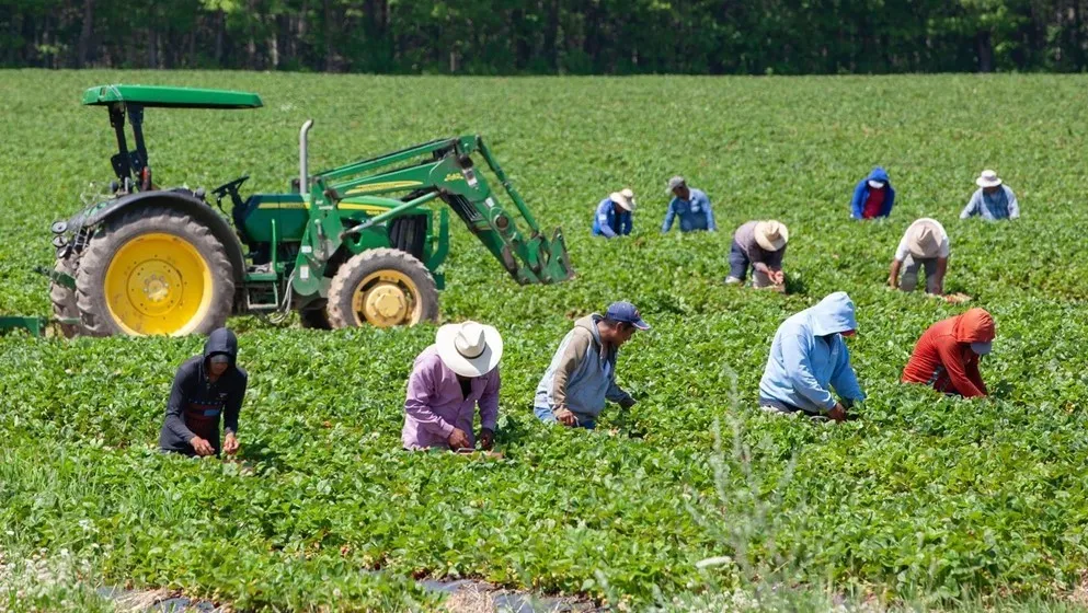 World Bank: “Ardi” Program Supports 63,000 Jordanian Farmers