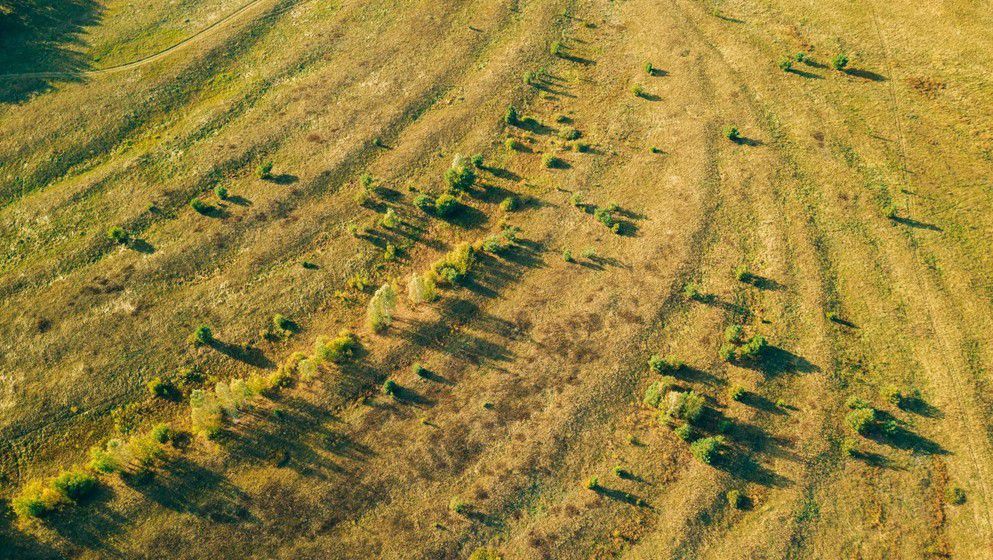 EU project workshop introduces Jordan industry to sustainabili...