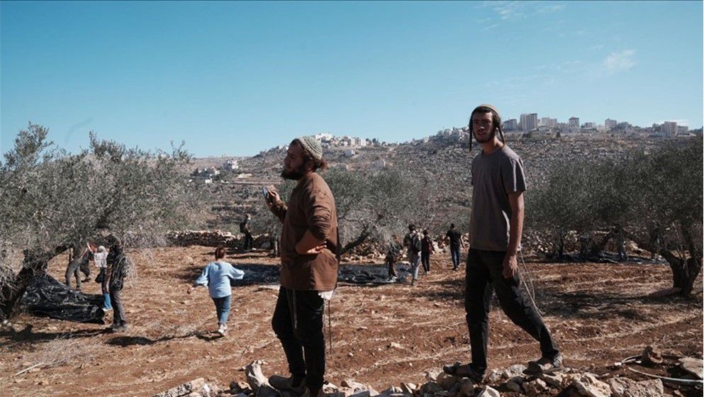 Israeli Settlers Set Fire to Farm and Five Homes in Ramallah