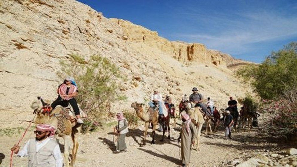 Petra Region: 81,000 Visitors in October