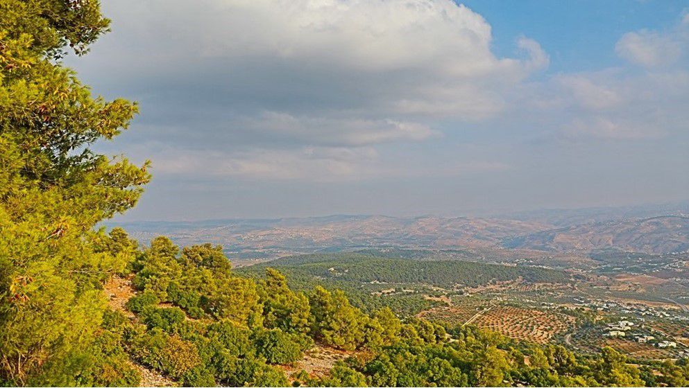 Dabin Forest Reserve: A Natural Tourist Destination Combining Beauty and Ecological Wealth