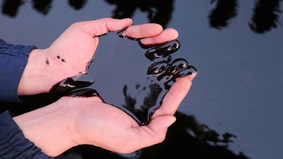 Oil Prices Steady Despite OPEC+ Decision to Pause Output Increases