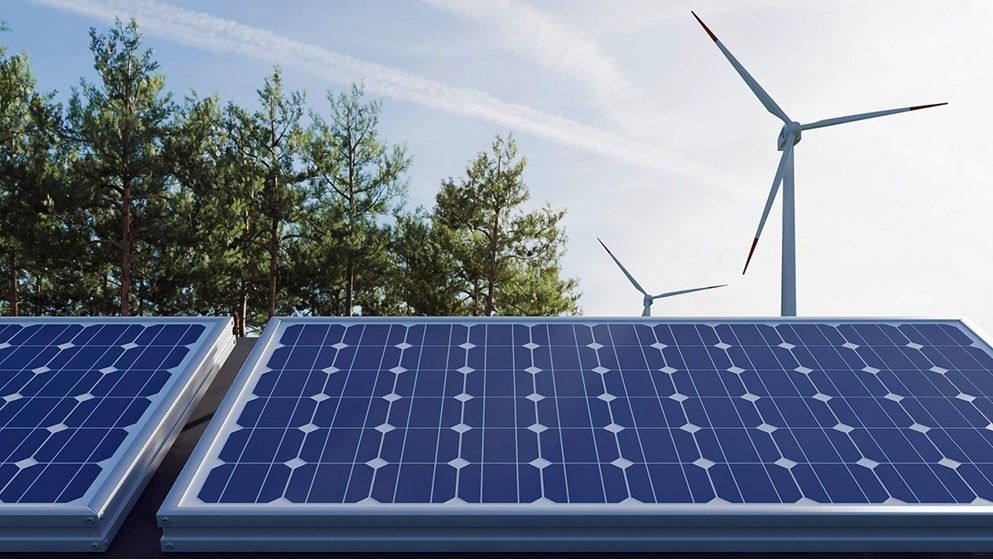 Call to cancel renewable energy tax sparks mixed reactions... - Vimarsana News