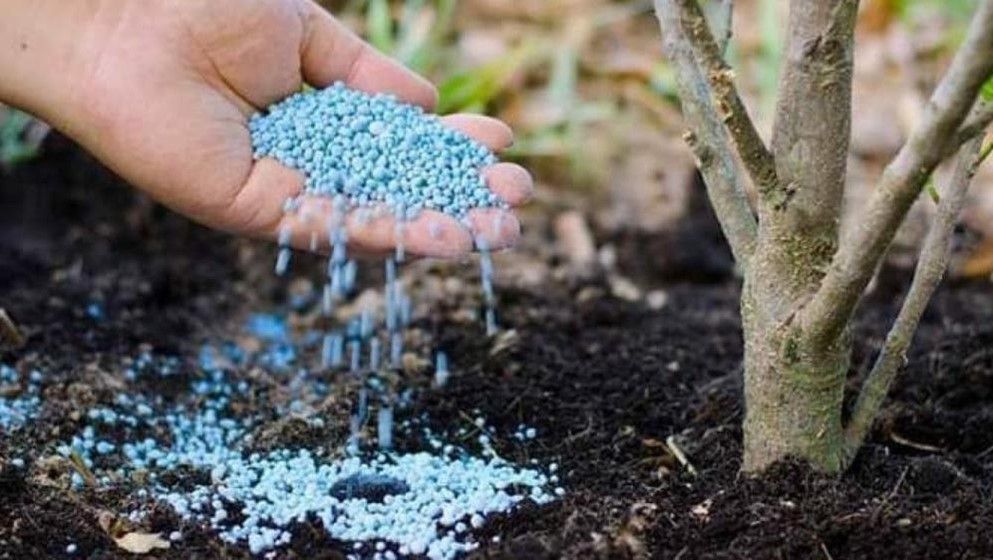 Total Output of Jordan’s Fertilizer Industry Valued at $1 Billion