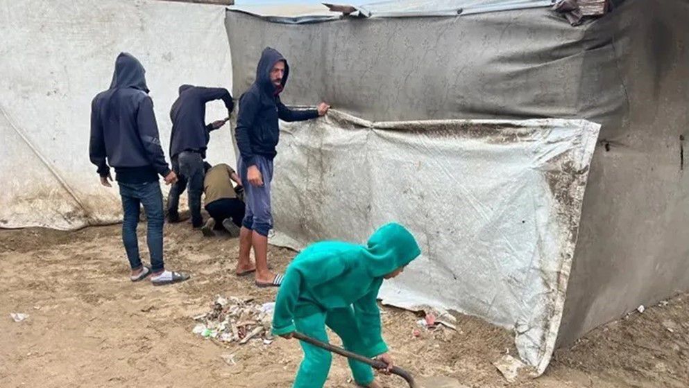 Transmitted by Rats and Rodents: Warnings of a Potential Leptospirosis Outbreak in Gaza