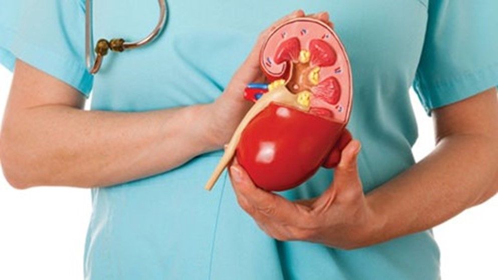 So schützen Sie Ihre Nierengesundheit bei Diabetes - | Jordan News | ...
