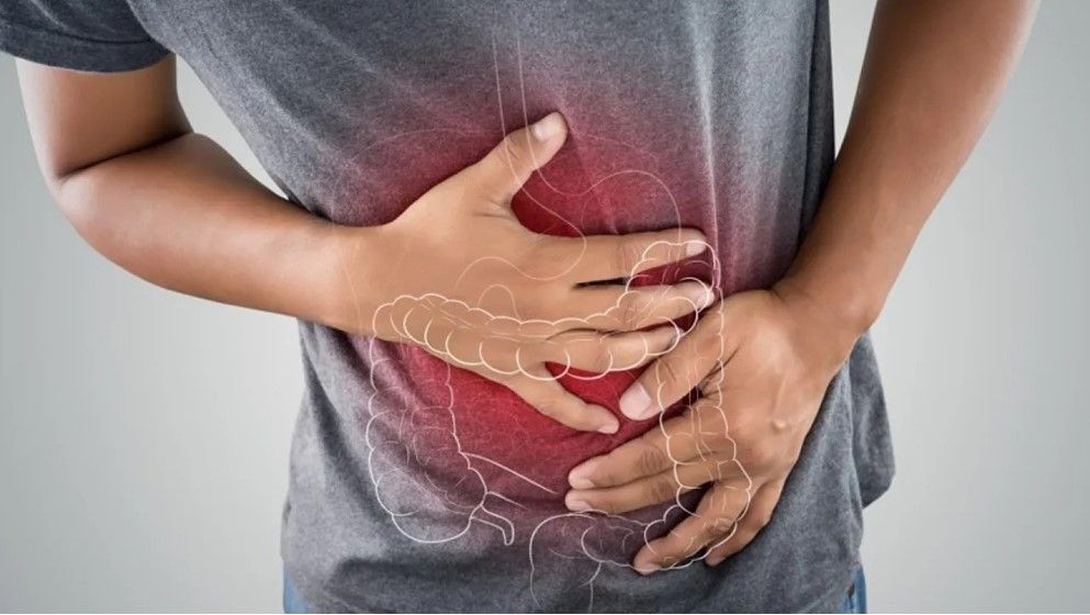 New Discovery May Hold Key to Treating Constipation and Diarrh...