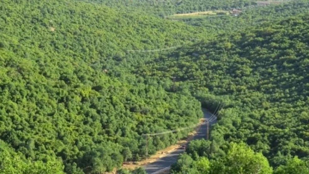 Organic Farming in Ajloun as a Means to Achieve Food Security and Improve Farmers’ Income
